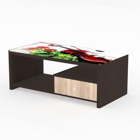 SCT 307 Coffee Table